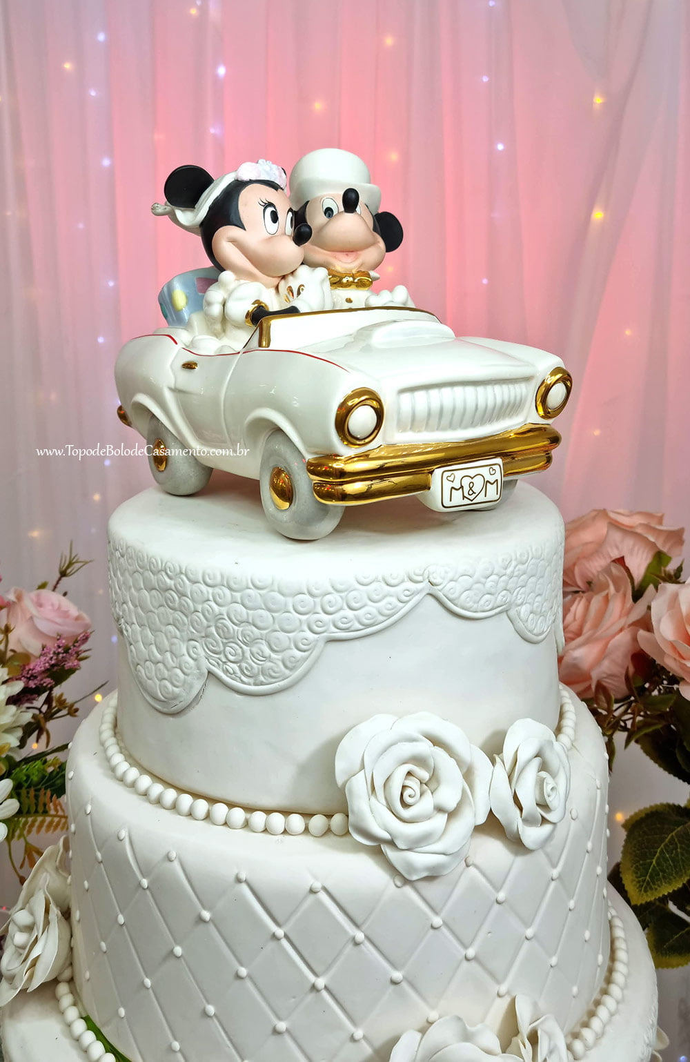 Mickey Topo de Bolo
